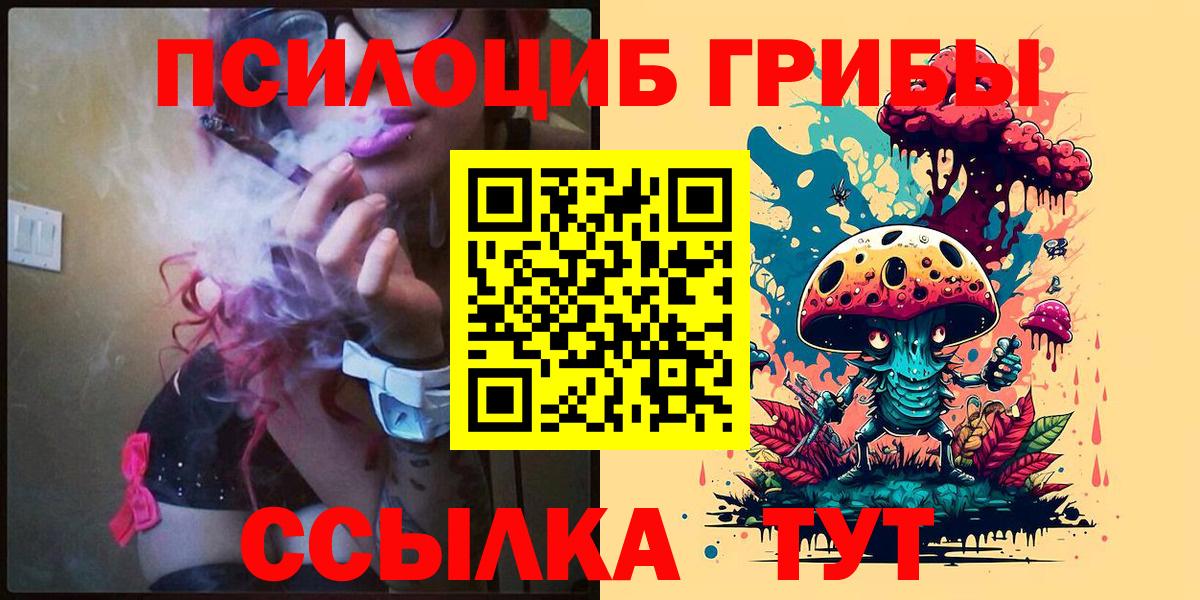 Бузулук  Псилоцибиновые грибы мицелий  Вход с VPN  купить  сайты  Псилоцибиновые грибы прущие грибы 